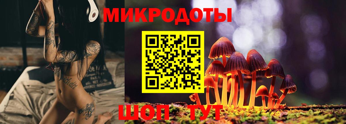 Усть-Лабинск  Галлюциногенные грибы Psilocybine cubensis  закладки  Вход с VPN 